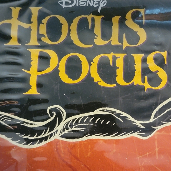 Hocus Pocus costume SOLD - Picture 2 of 8